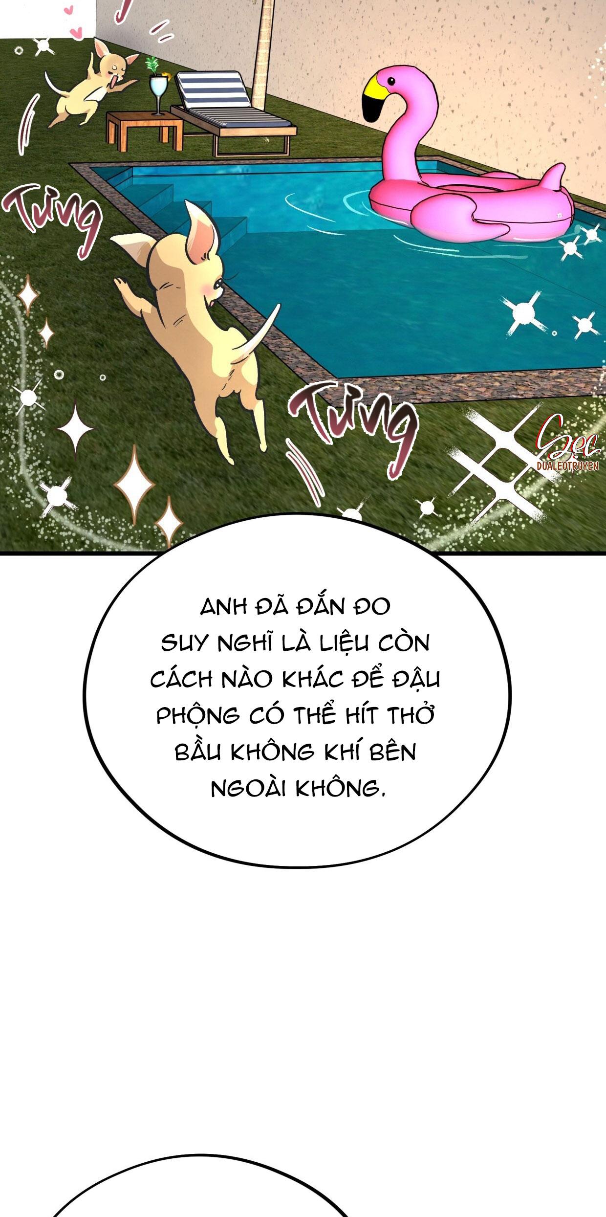 HONEY BEAR Chapter 72 - Next 