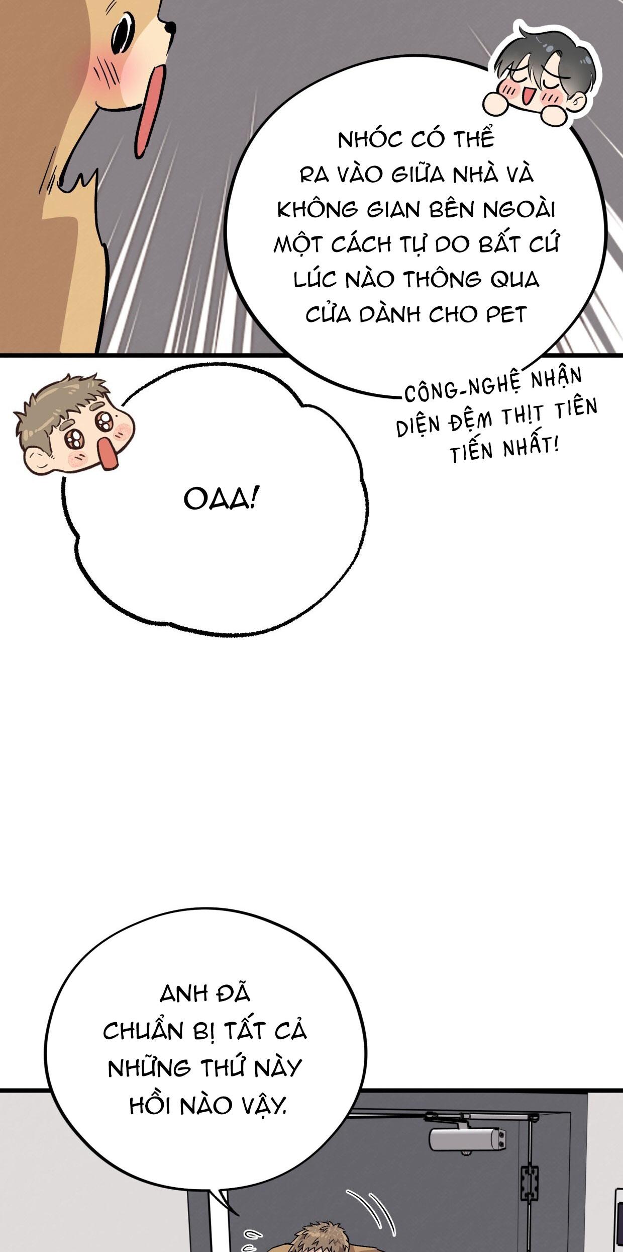 HONEY BEAR Chapter 72 - Next 