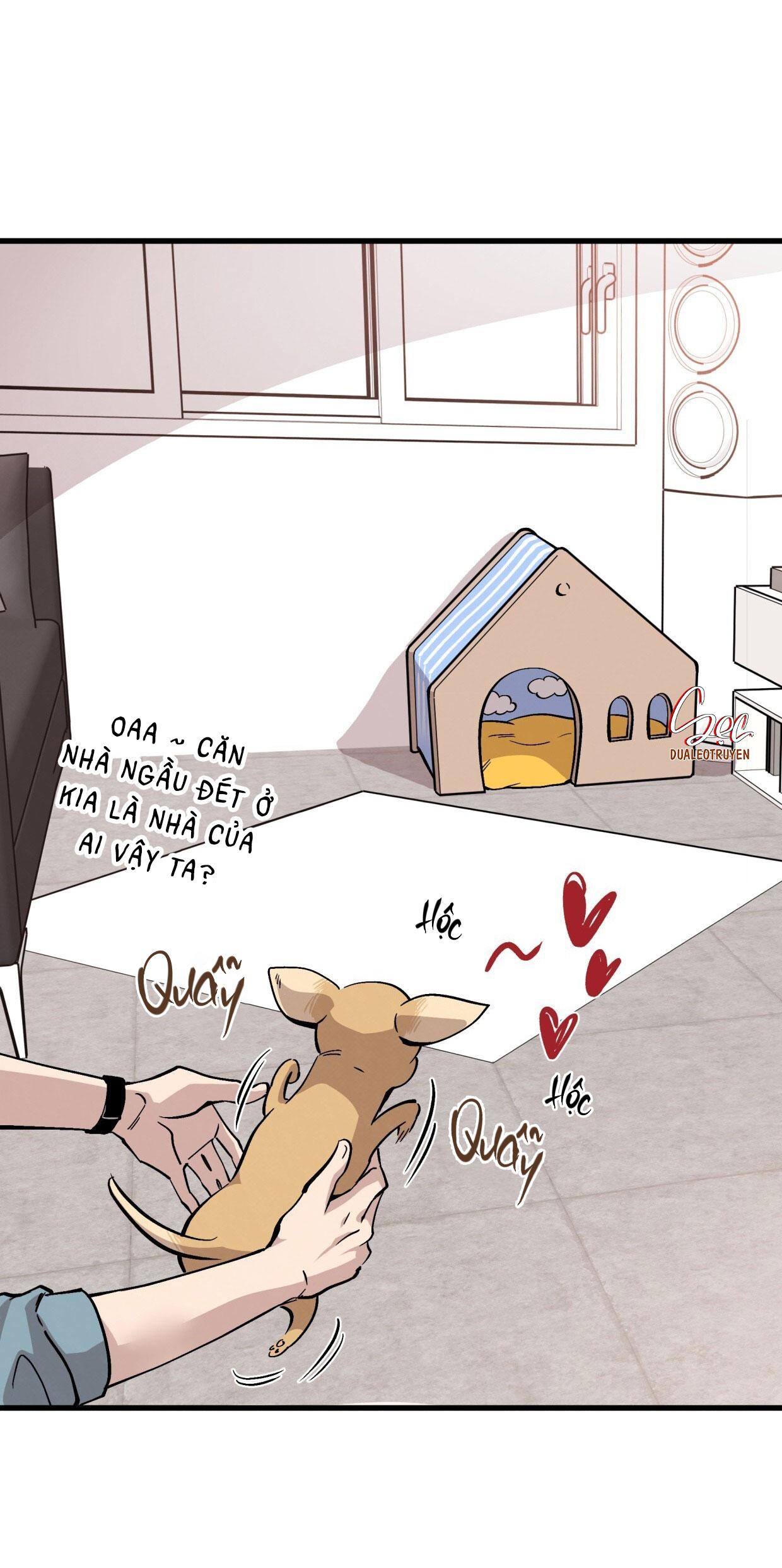 HONEY BEAR Chapter 72 - Next 