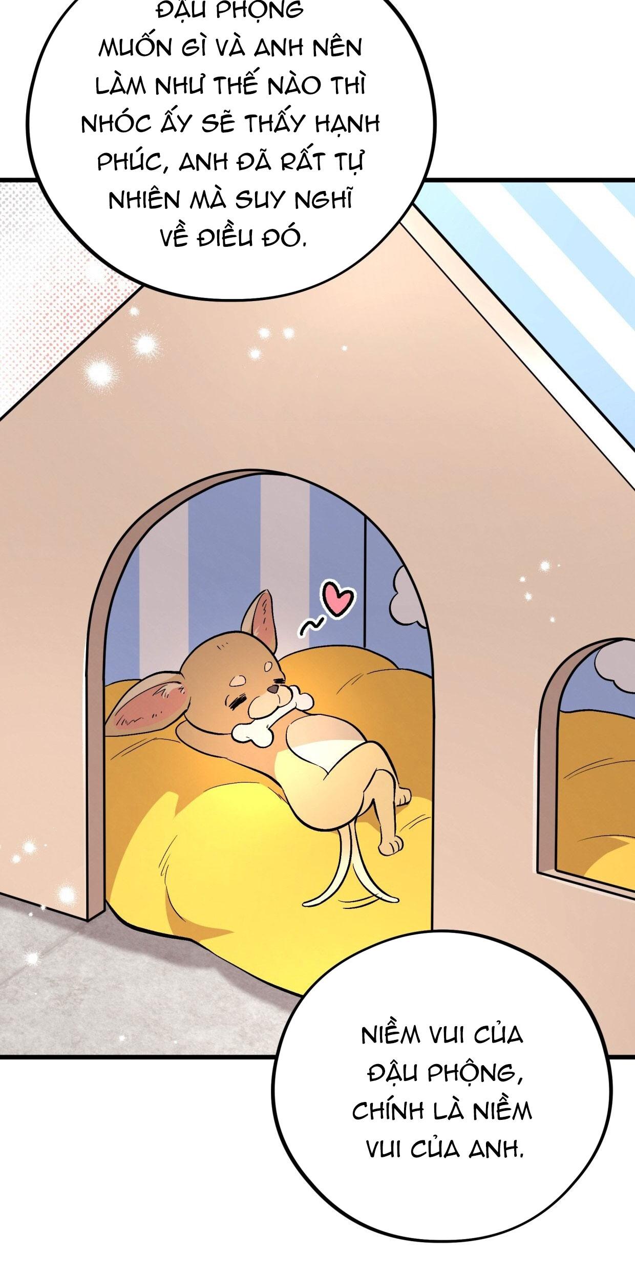 HONEY BEAR Chapter 72 - Next 