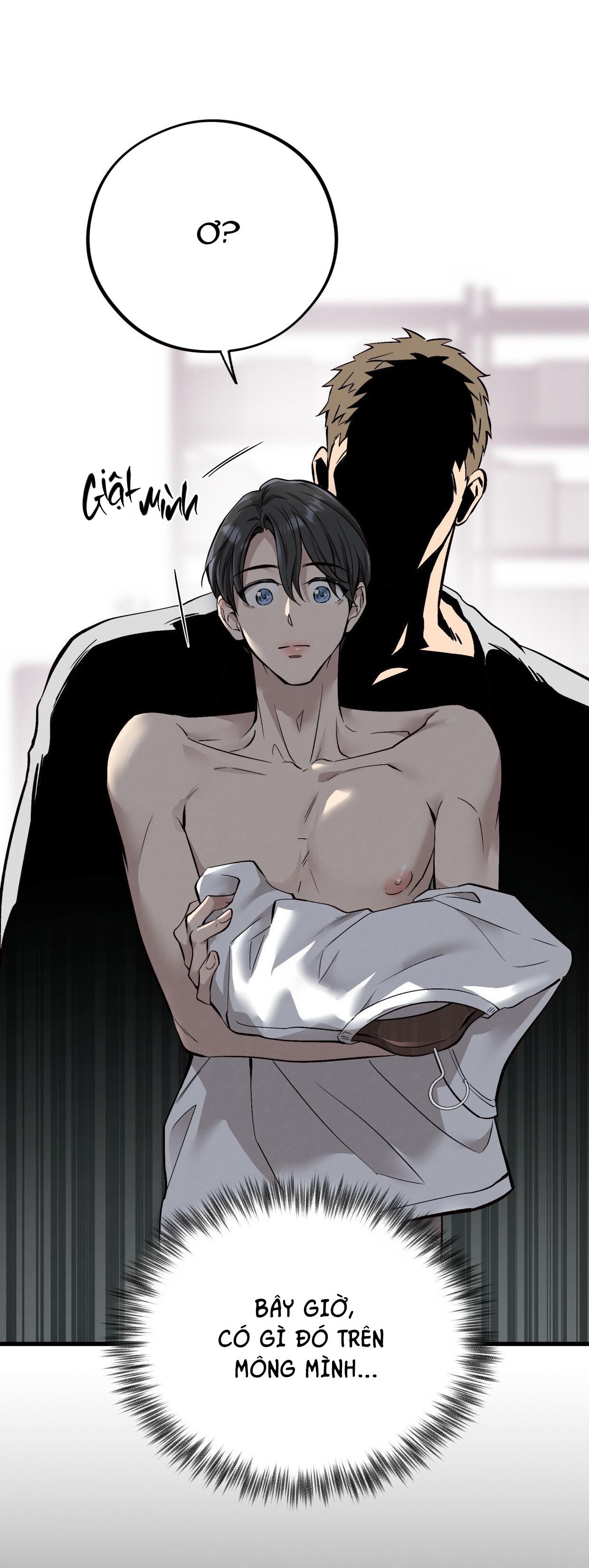 HONEY BEAR Chapter 72 - Next 