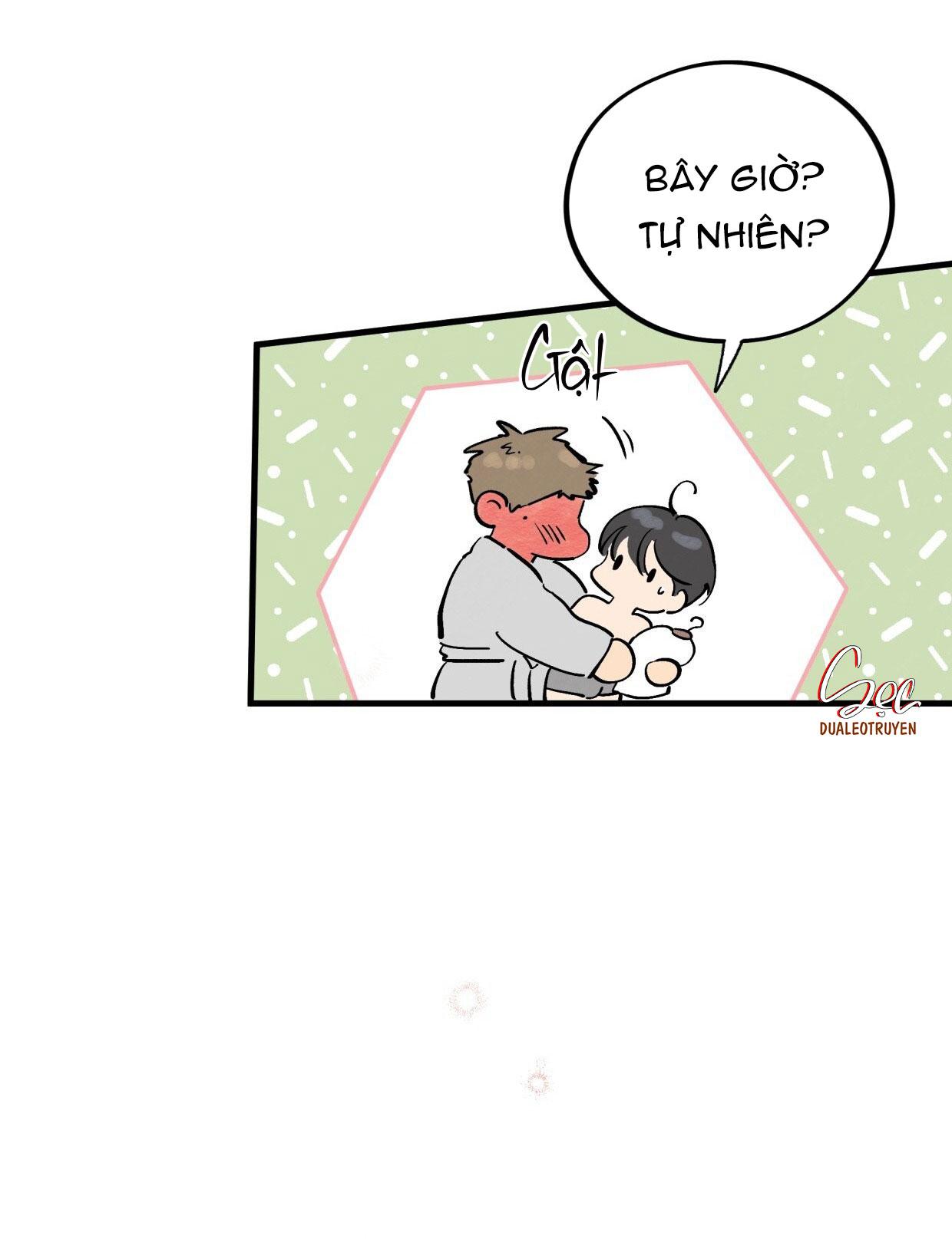HONEY BEAR Chapter 72 - Next 