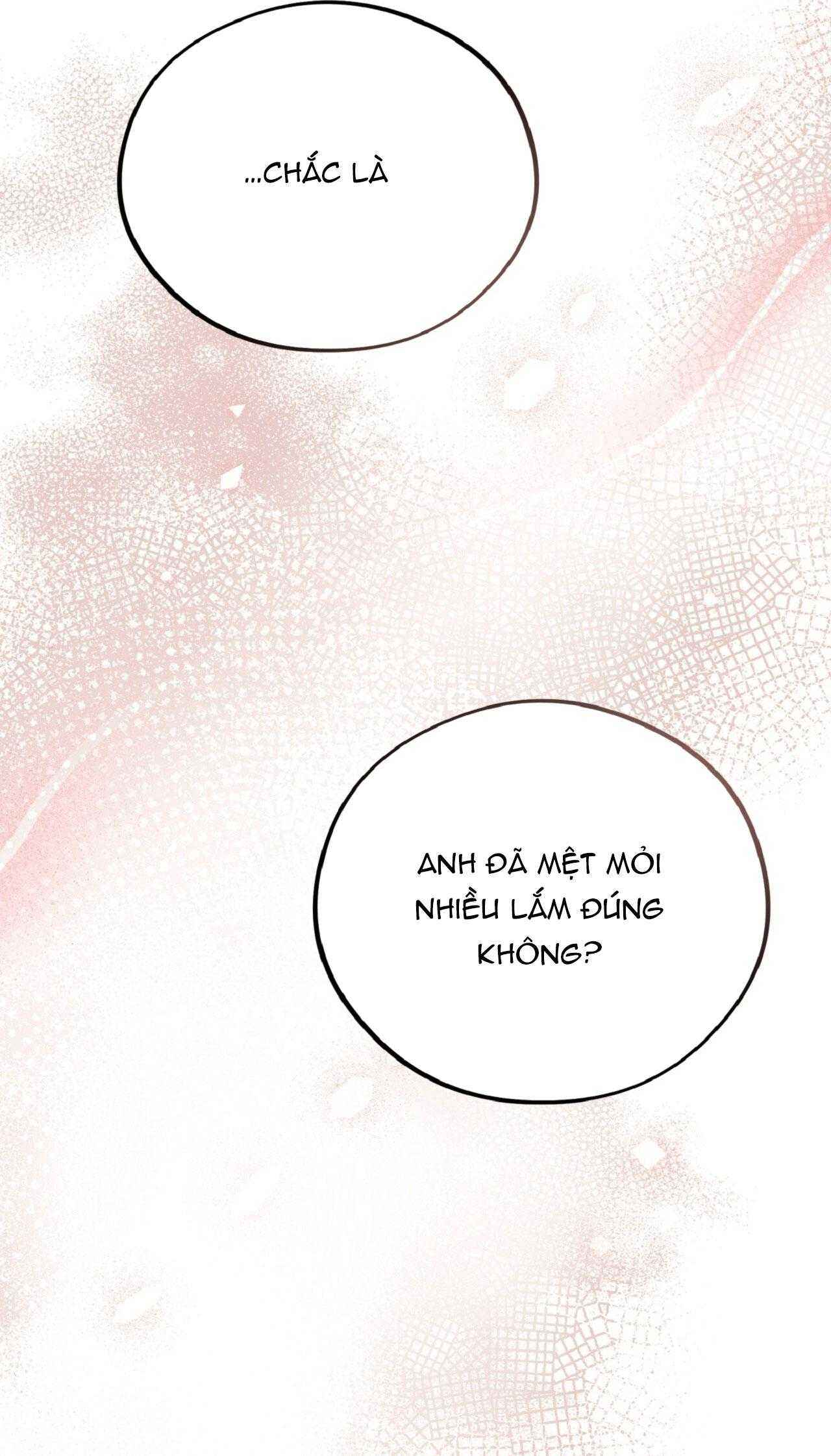HONEY BEAR Chapter 74 - Trang 3