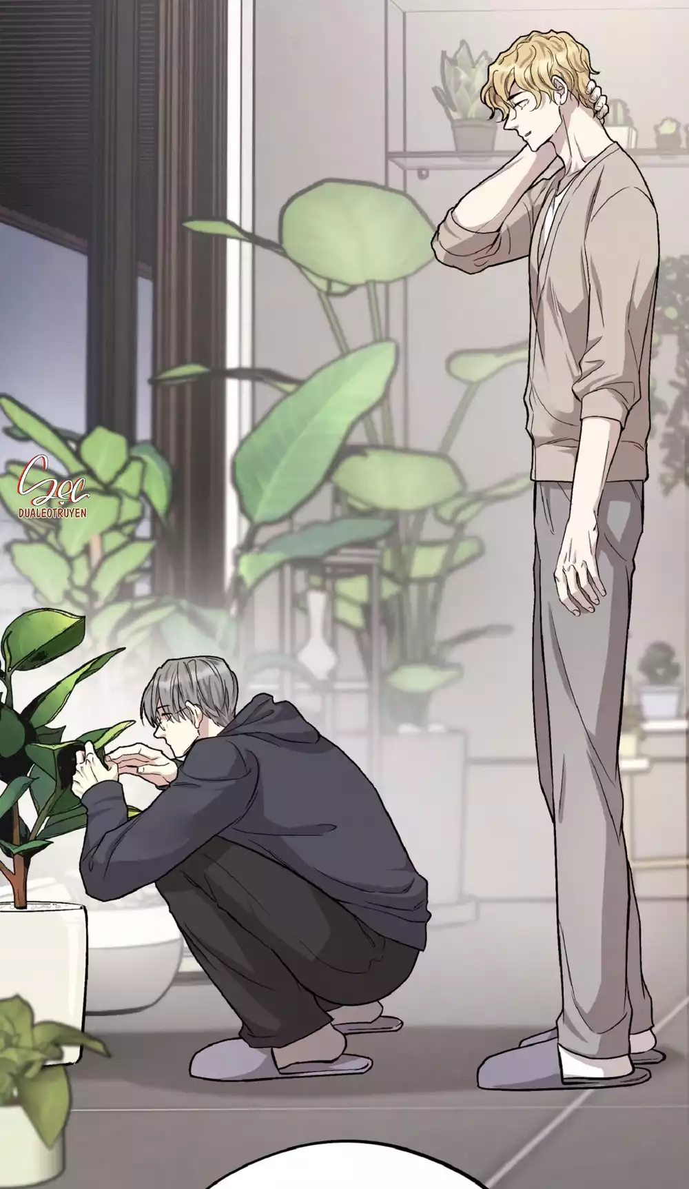 HONEY BEAR Chapter 80 - Trang 2