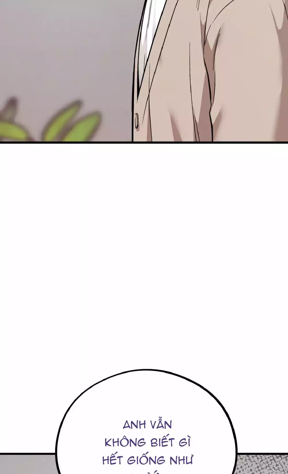 HONEY BEAR Chapter 80 - Trang 2