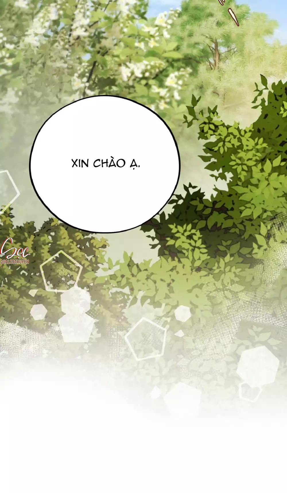 HONEY BEAR Chapter 80 - Trang 2