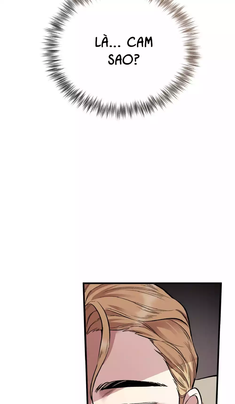 HONEY BEAR Chapter 81 - Trang 2