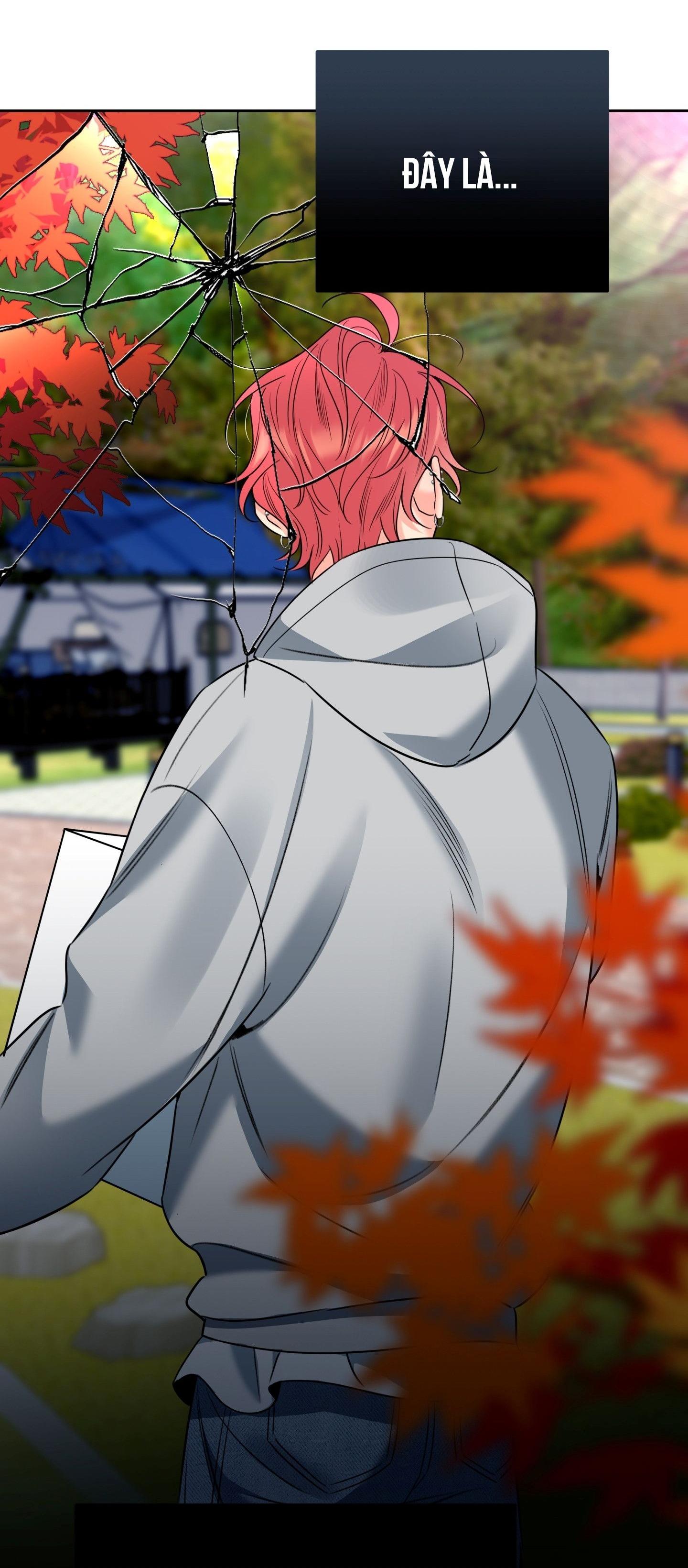 HONEY TROUBLE Chapter 46 - Next 