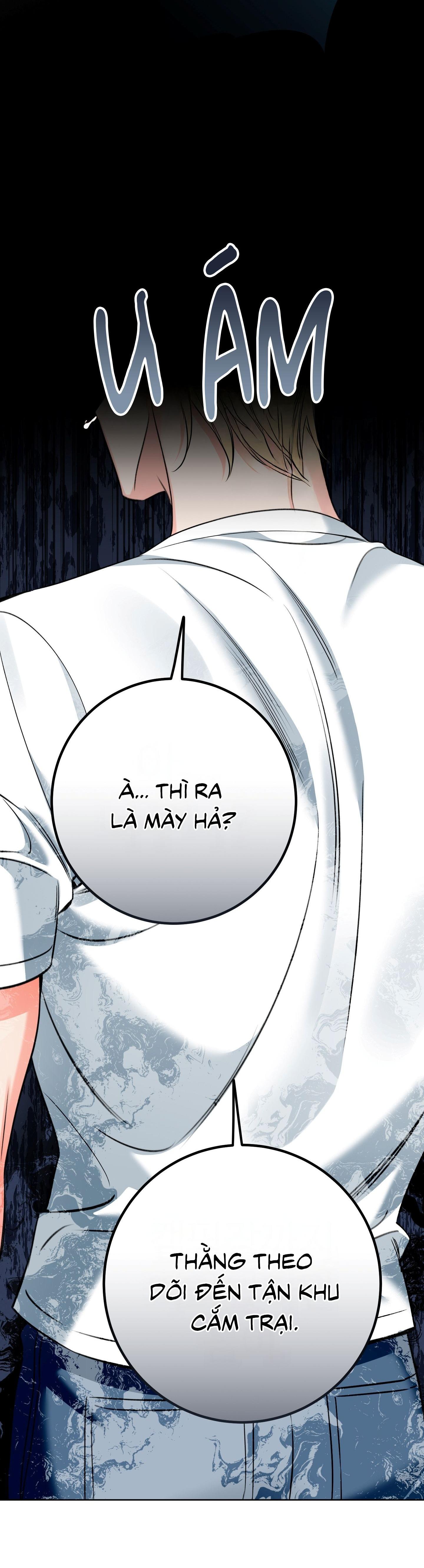 HONEY TROUBLE Chapter 46 - Next 