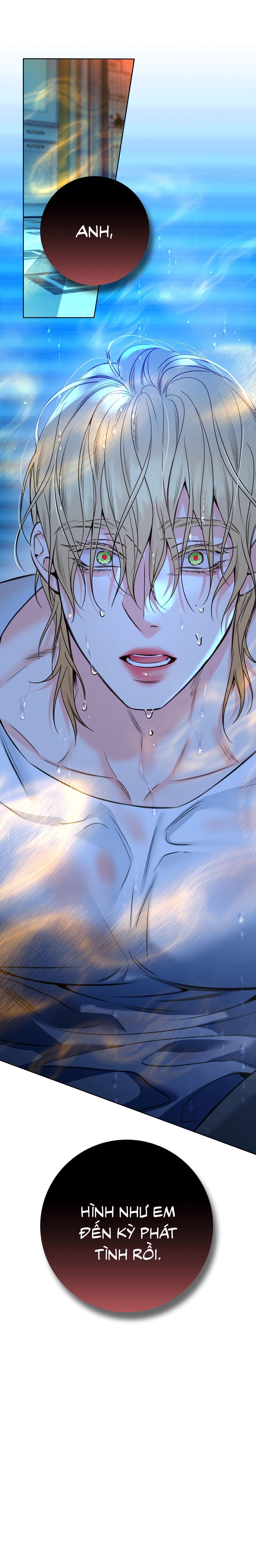 Honey Trouble Chapter 47 - Trang 2