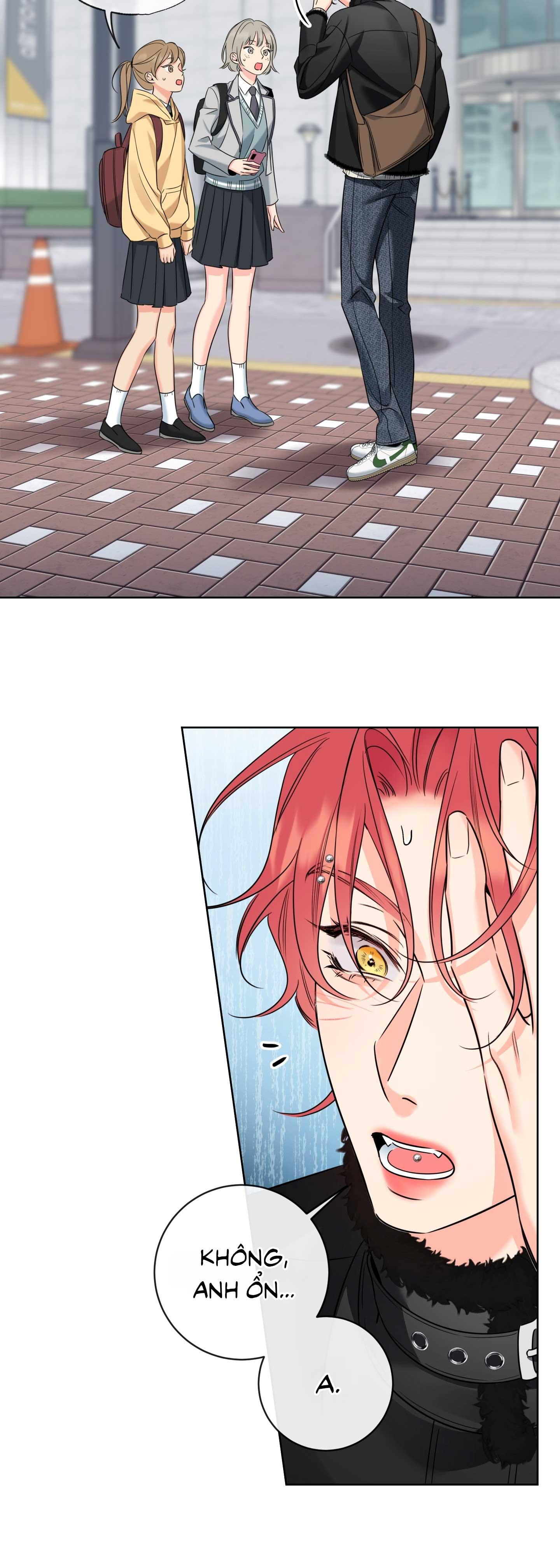 HONEY TROUBLE Chapter 49 - Next 