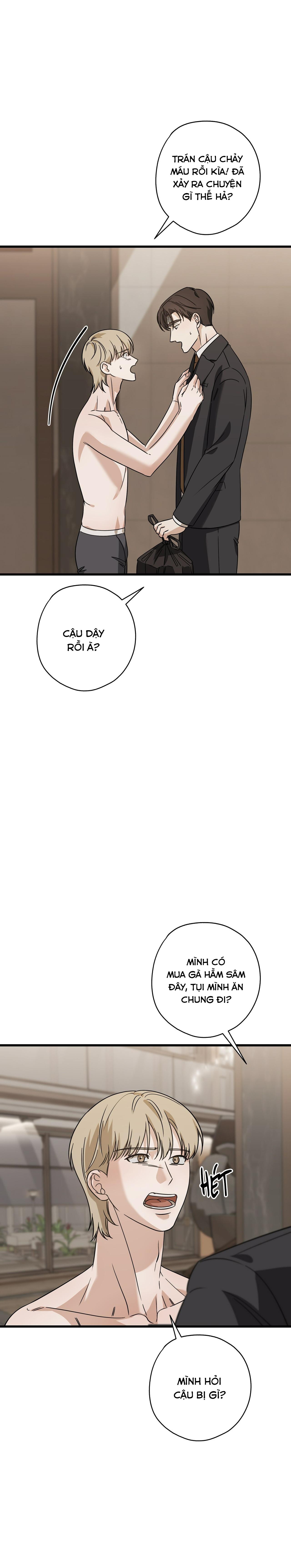 HỢP ĐỒNG KẸO Chapter 31 - Next 
