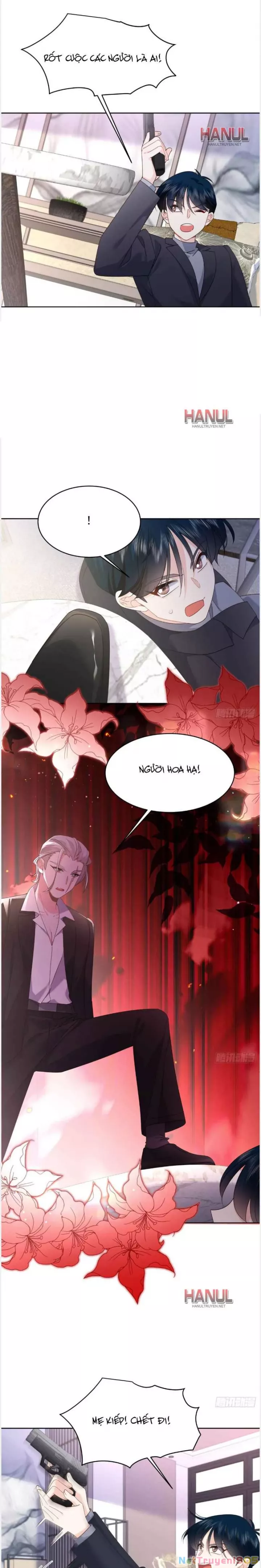 Hotboy Quốc Dân Là Nữ Chapter 489 - Trang 3
