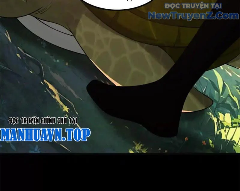 Huyễn Thú Của Ta Có Thể Tiến Hoá Vô Hạn Chapter 27 - Trang 2