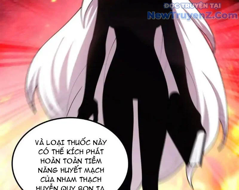 Huyễn Thú Của Ta Có Thể Tiến Hoá Vô Hạn Chapter 27 - Trang 2