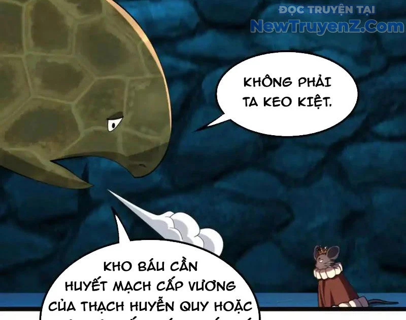Huyễn Thú Của Ta Có Thể Tiến Hoá Vô Hạn Chapter 27 - Trang 2