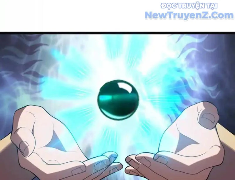 Huyễn Thú Của Ta Có Thể Tiến Hoá Vô Hạn Chapter 27 - Trang 2
