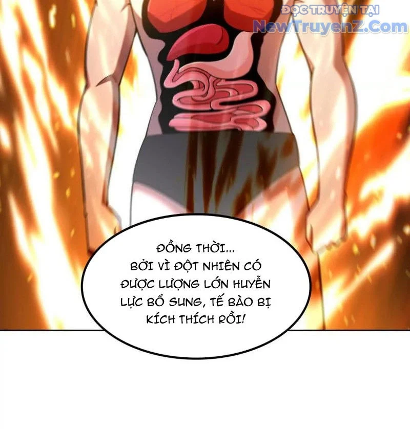 Huyễn Thú Của Ta Có Thể Tiến Hoá Vô Hạn Chapter 29 - Trang 2