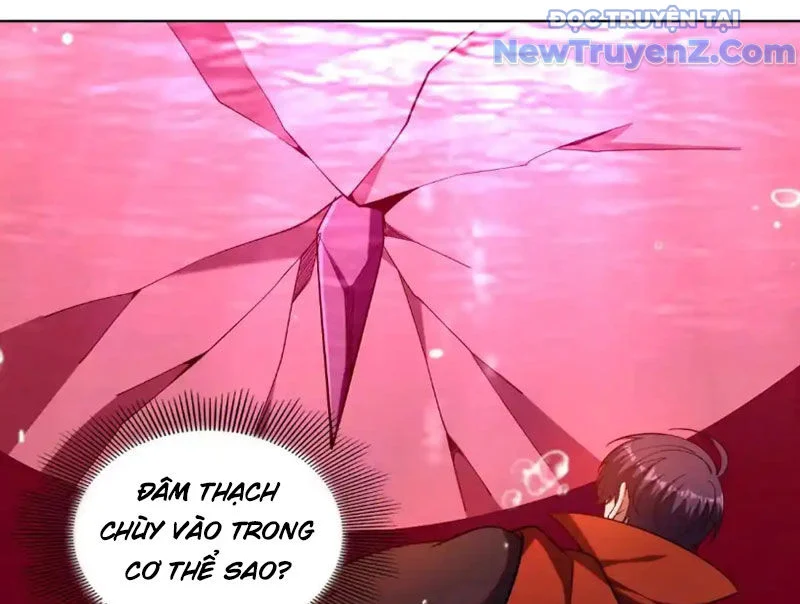 Huyễn Thú Của Ta Có Thể Tiến Hoá Vô Hạn Chapter 30 - Trang 2