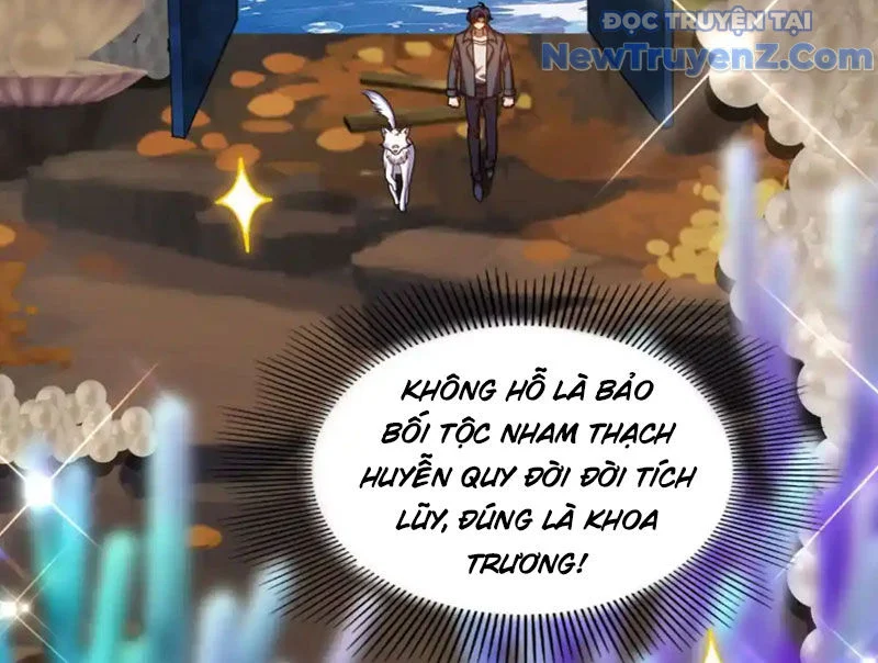 Huyễn Thú Của Ta Có Thể Tiến Hoá Vô Hạn Chapter 31 - Trang 2