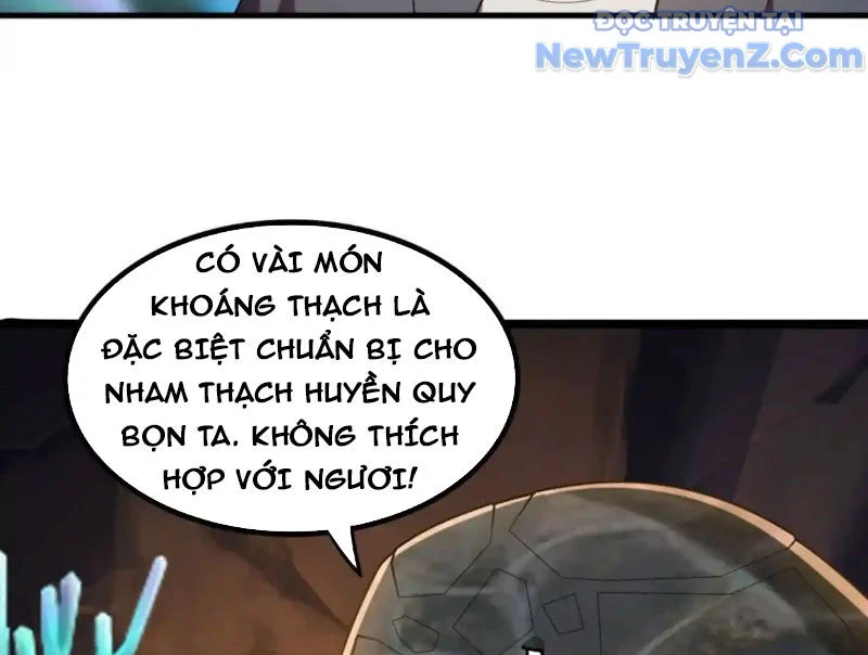 Huyễn Thú Của Ta Có Thể Tiến Hoá Vô Hạn Chapter 31 - Trang 2