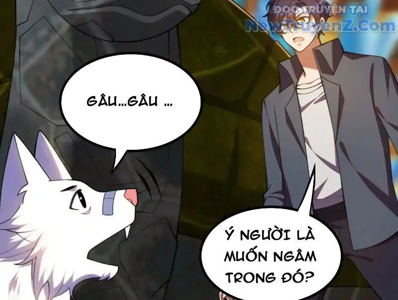 Huyễn Thú Của Ta Có Thể Tiến Hoá Vô Hạn Chapter 31 - Trang 2