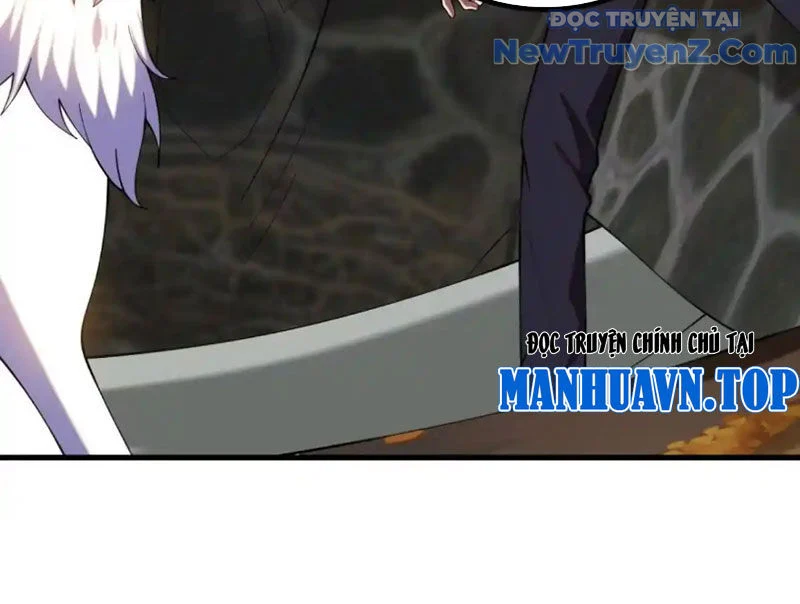 Huyễn Thú Của Ta Có Thể Tiến Hoá Vô Hạn Chapter 31 - Trang 2