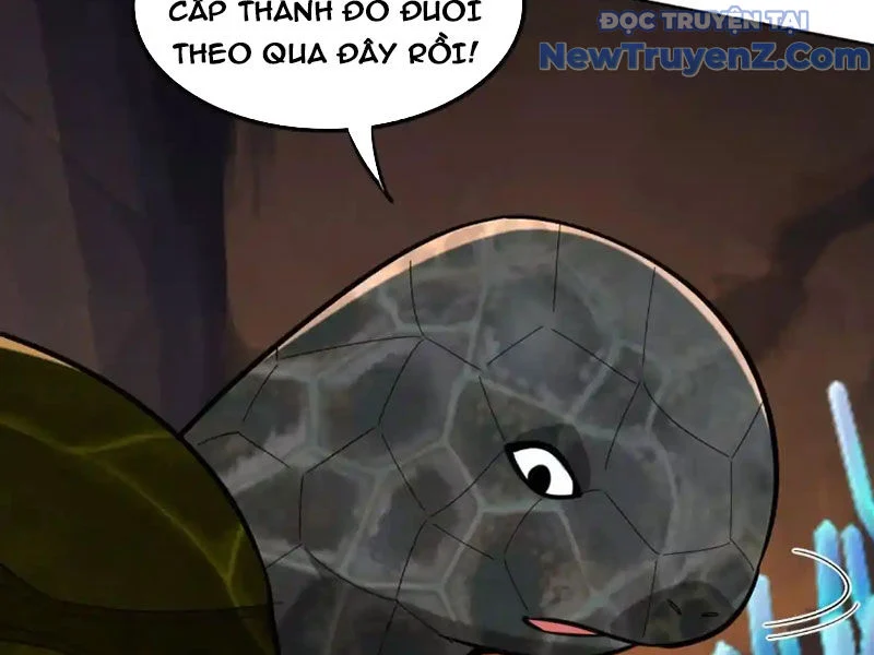 Huyễn Thú Của Ta Có Thể Tiến Hoá Vô Hạn Chapter 32 - Trang 2