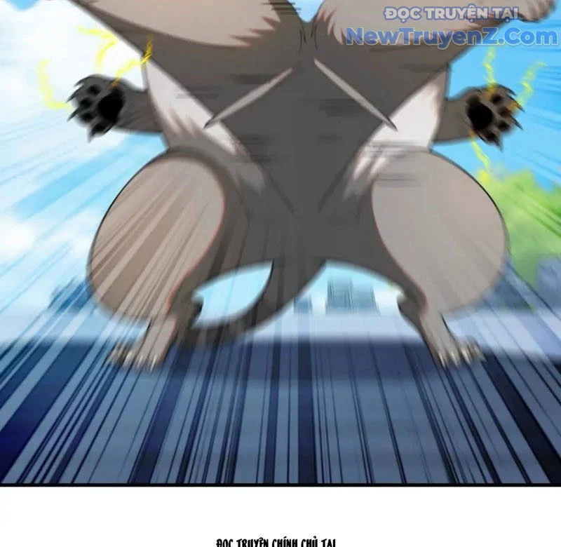 Huyễn Thú Của Ta Có Thể Tiến Hóa Vô Hạn Chapter 36 - Trang 3
