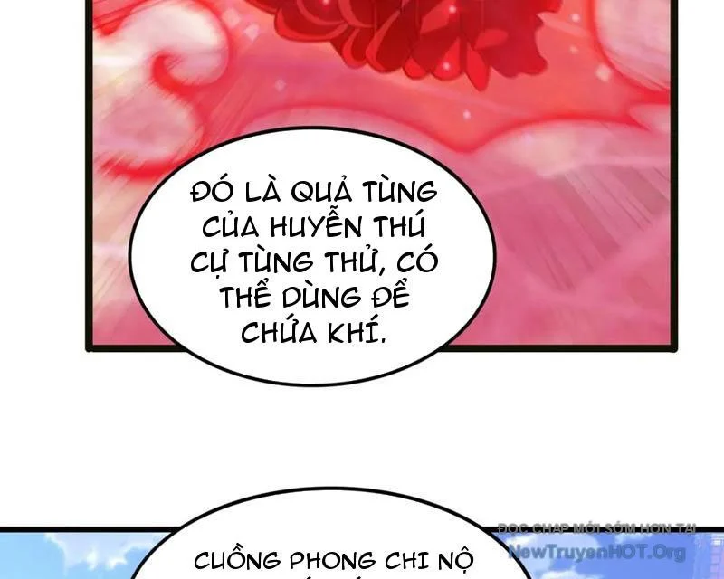 Huyễn Thú Của Ta Có Thể Tiến Hóa Vô Hạn Chapter 44 - Trang 3