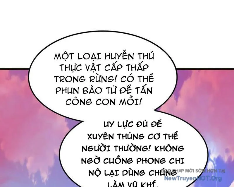Huyễn Thú Của Ta Có Thể Tiến Hóa Vô Hạn Chapter 44 - Trang 3