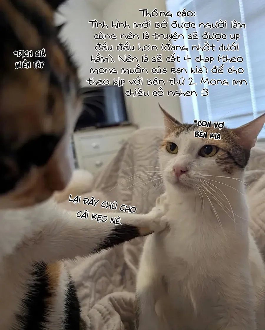 itoko no ko Chapter 12 18