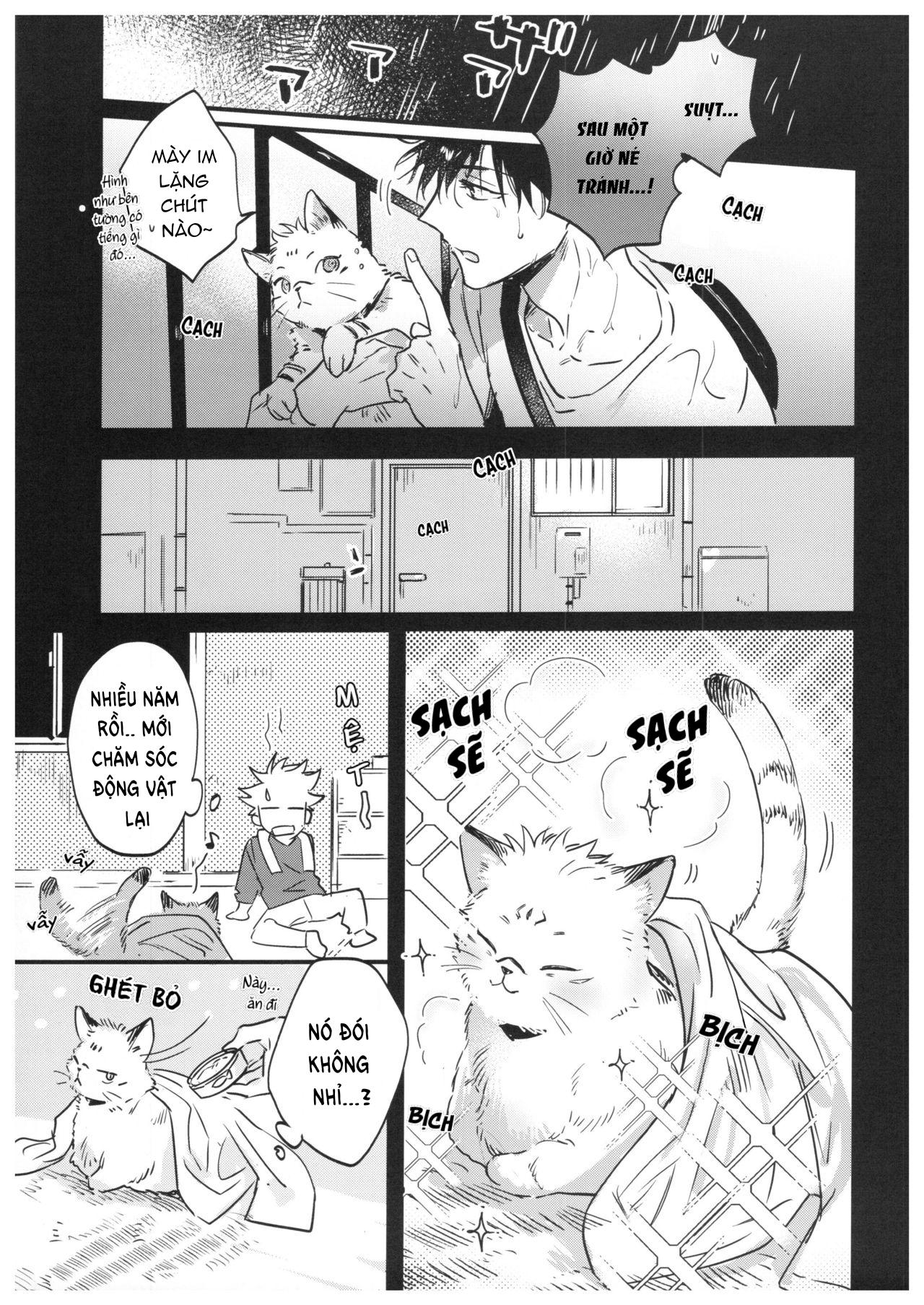 JUJUTSU KAISEN HD KHÔNG CHE Chapter 15.1 Megumi x Sukuna - Next Chapter 15.2