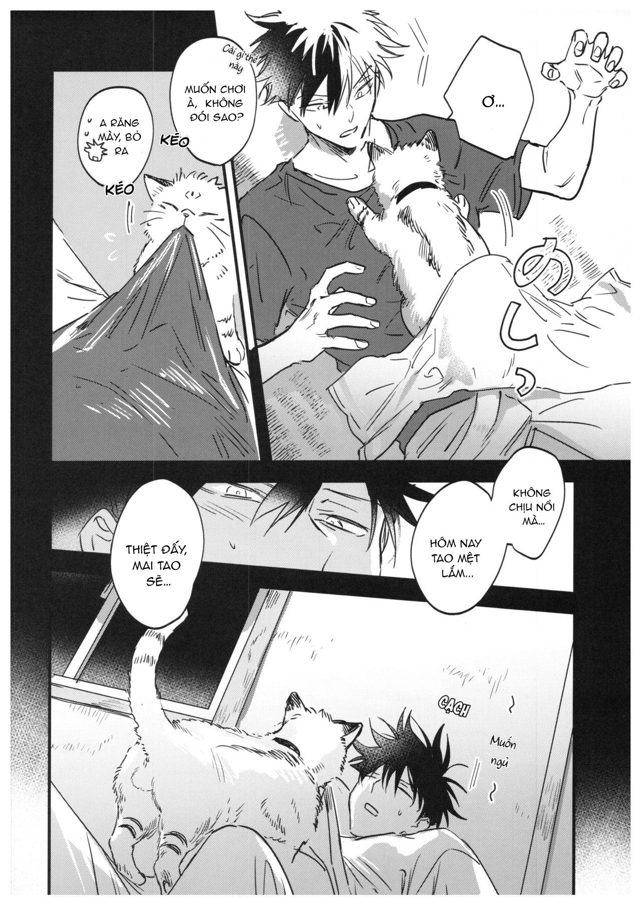 JUJUTSU KAISEN HD KHÔNG CHE Chapter 15.1 Megumi x Sukuna - Next Chapter 15.2