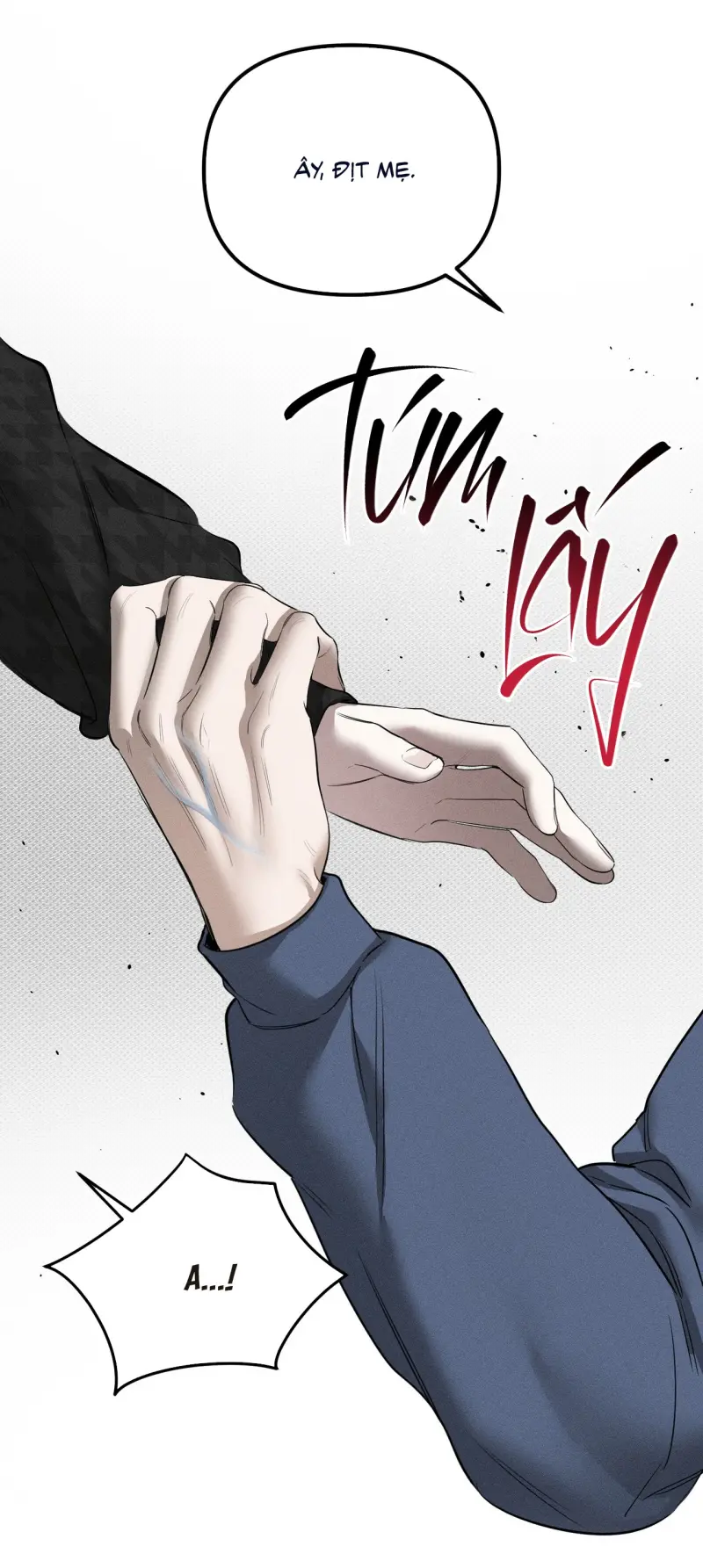 Kẻ Đánh Cắp Trái Tim Chapter 11 19+ 29