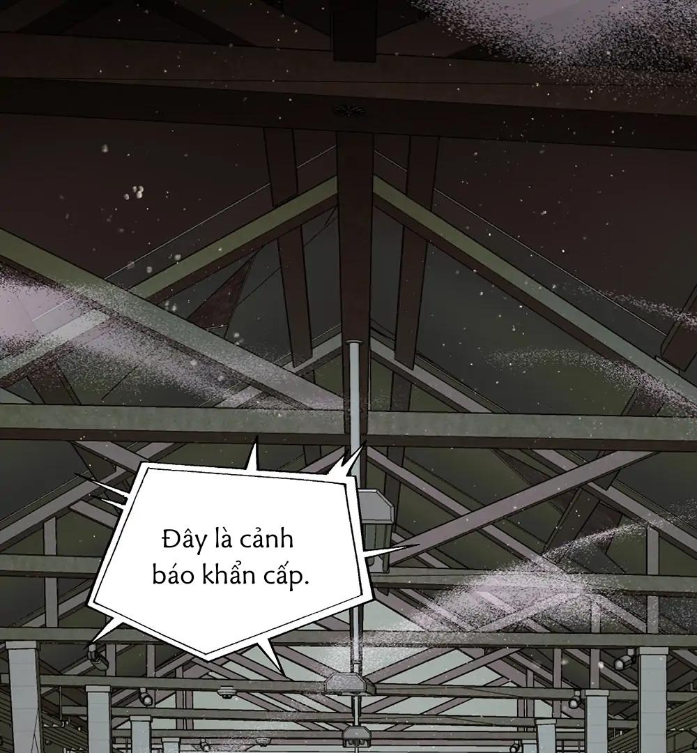 Kế Hoạch Trốn Thoát Chapter 1 31