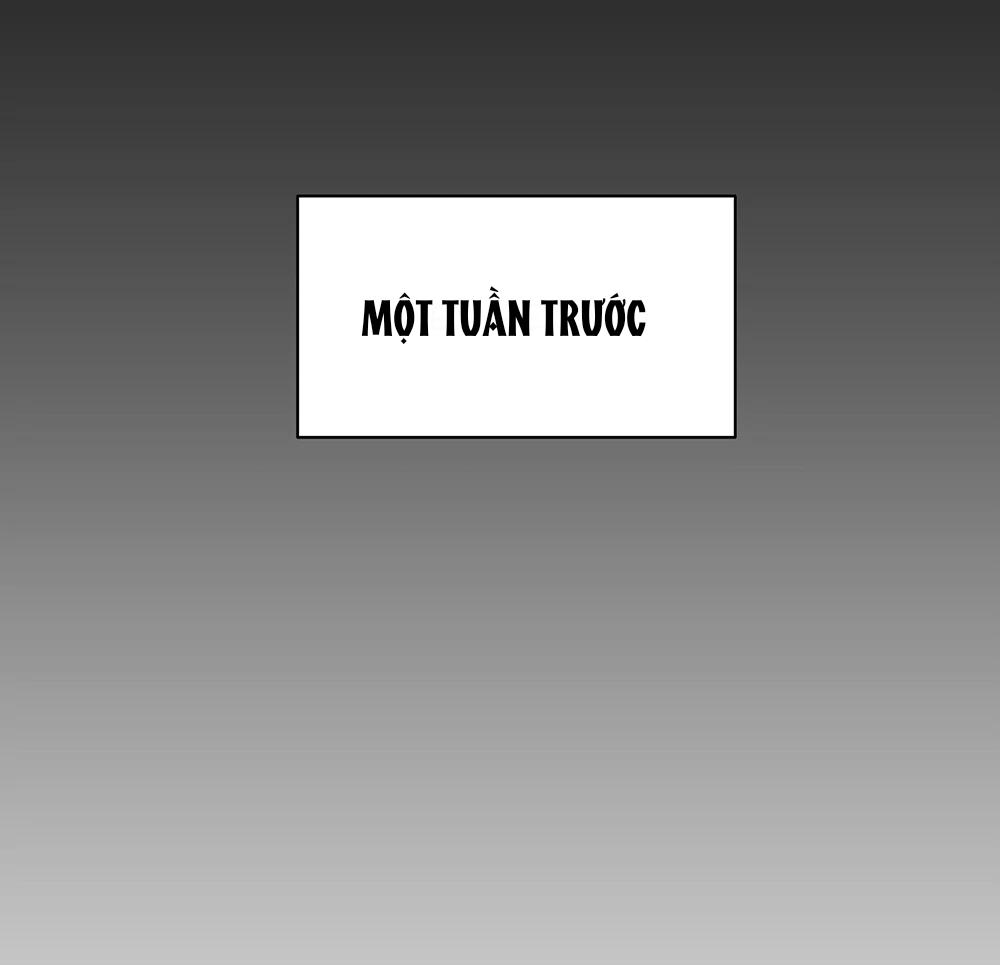 Kế Hoạch Trốn Thoát Chapter 1 60