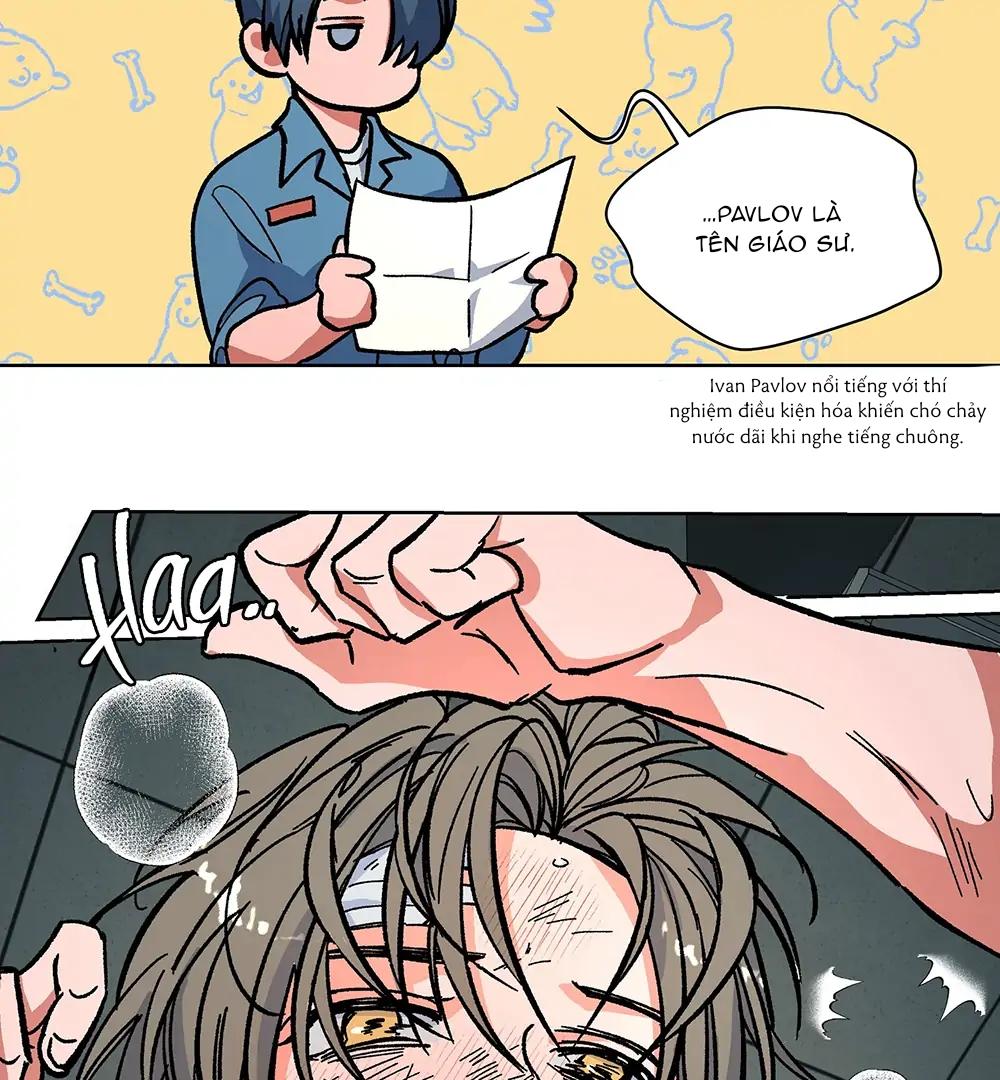 Kế Hoạch Trốn Thoát Chapter 6 31
