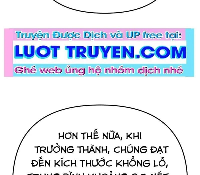 Kẻ Ngoại Lai Ở Vùng Đất Bị Ruồng Bỏ Chapter 18 - Trang 2