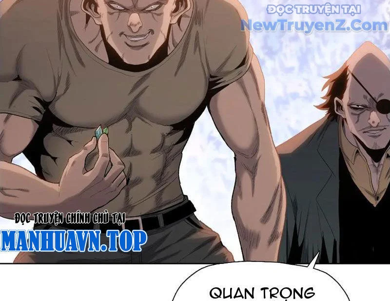 Kẻ Tàn Nhẫn Ngày Tận Thế: Bắt Đầu Dự Trữ Hàng Tỷ Tấn Vật Tư Chapter 66 - Trang 2
