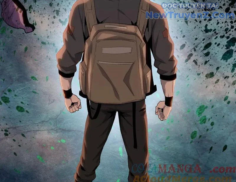 Kẻ Tàn Nhẫn Ngày Tận Thế: Bắt Đầu Dự Trữ Hàng Tỷ Tấn Vật Tư Chapter 66 - Trang 2
