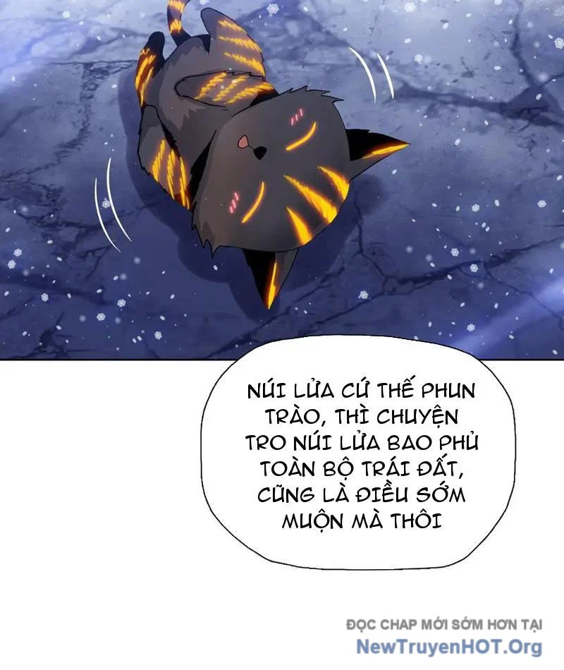 Kẻ Tàn Nhẫn Ngày Tận Thế: Bắt Đầu Dự Trữ Hàng Tỷ Tấn Vật Tư Chapter 78 - Trang 3