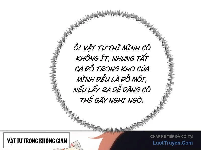 Kẻ Tàn Nhẫn Ngày Tận Thế: Bắt Đầu Dự Trữ Hàng Tỷ Tấn Vật Tư Chapter 96 - Trang 2