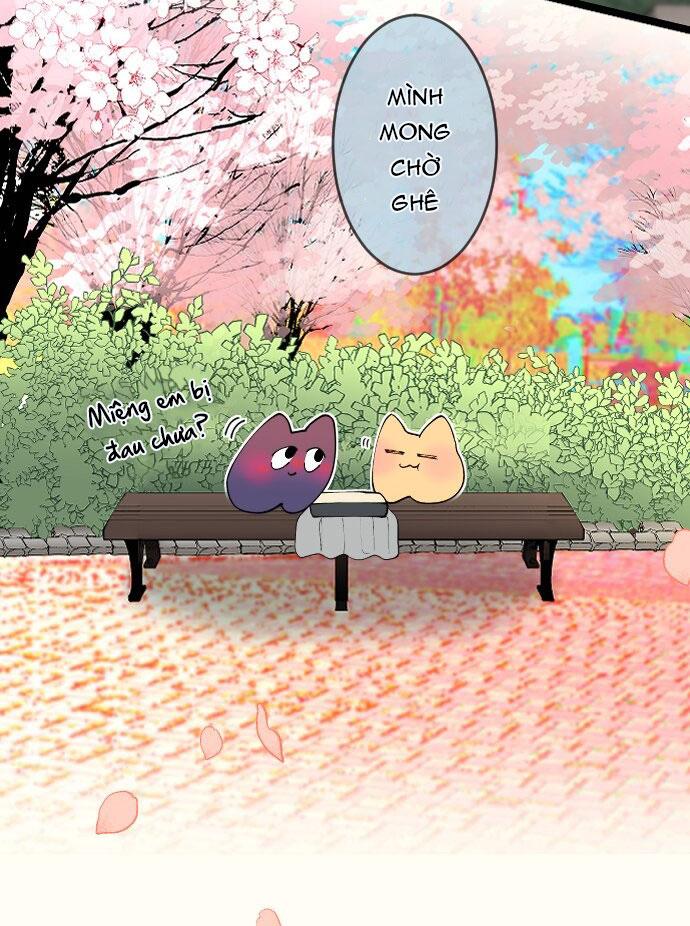 Kẻ Theo Dõi Biến Thái Của Tôi Chapter 154 8