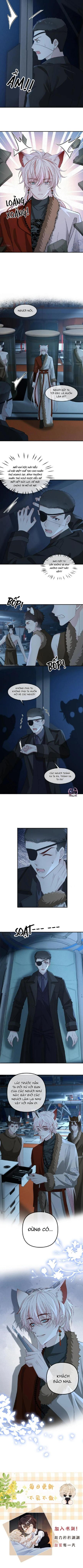 Khát Vọng Ngọt Ngào Chapter 435 - Trang 3