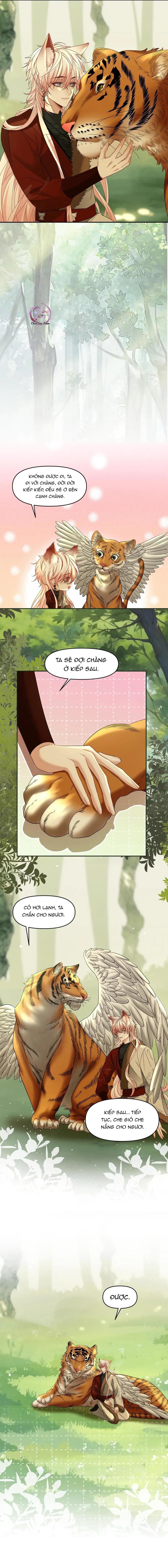 Khát Vọng Ngọt Ngào Chapter 446 - Trang 3