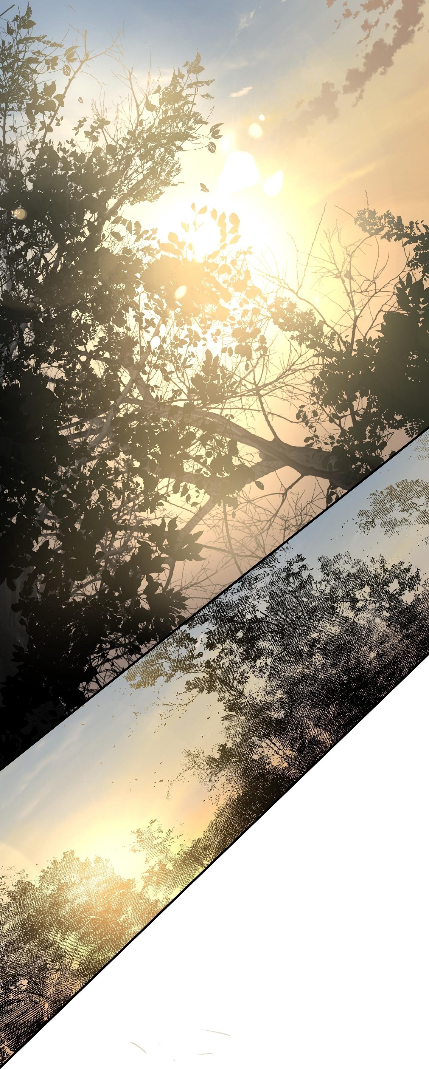 KHI MẶT TRỜI LÓ DẠNG Chapter 14 - Trang 2