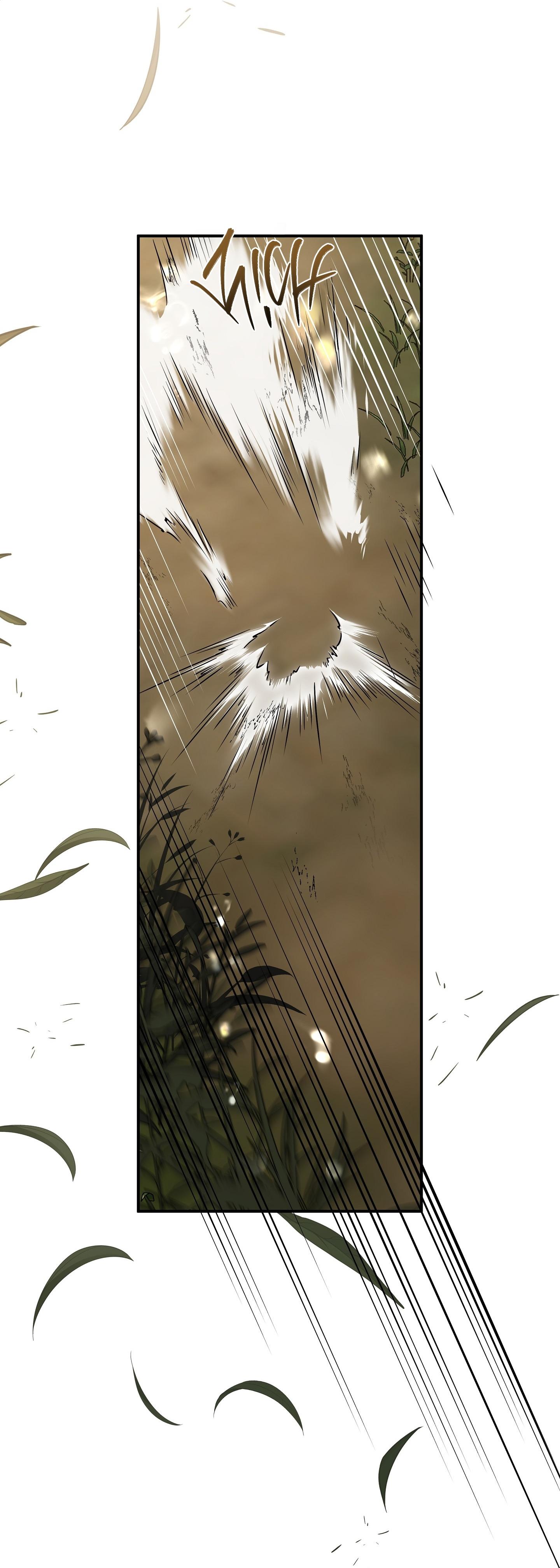 KHI MẶT TRỜI LÓ DẠNG Chapter 14 - Trang 2