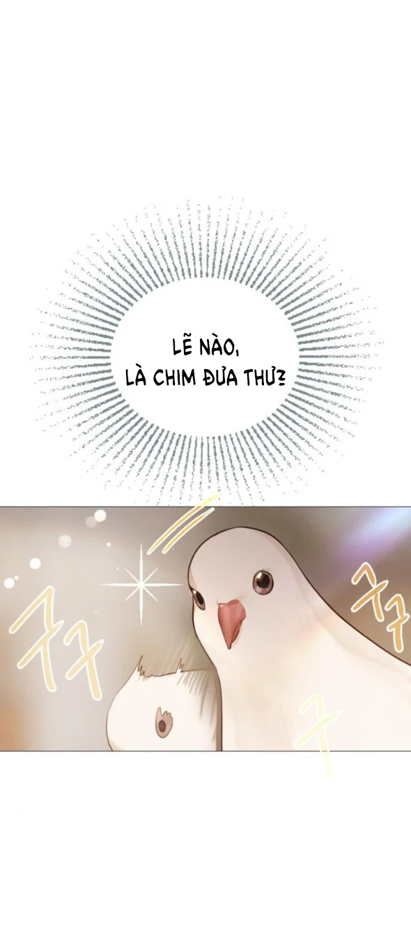 Khóc Đi Hay Là Cầu Xin Tôi Cũng Được Chapter 52 - Trang 2