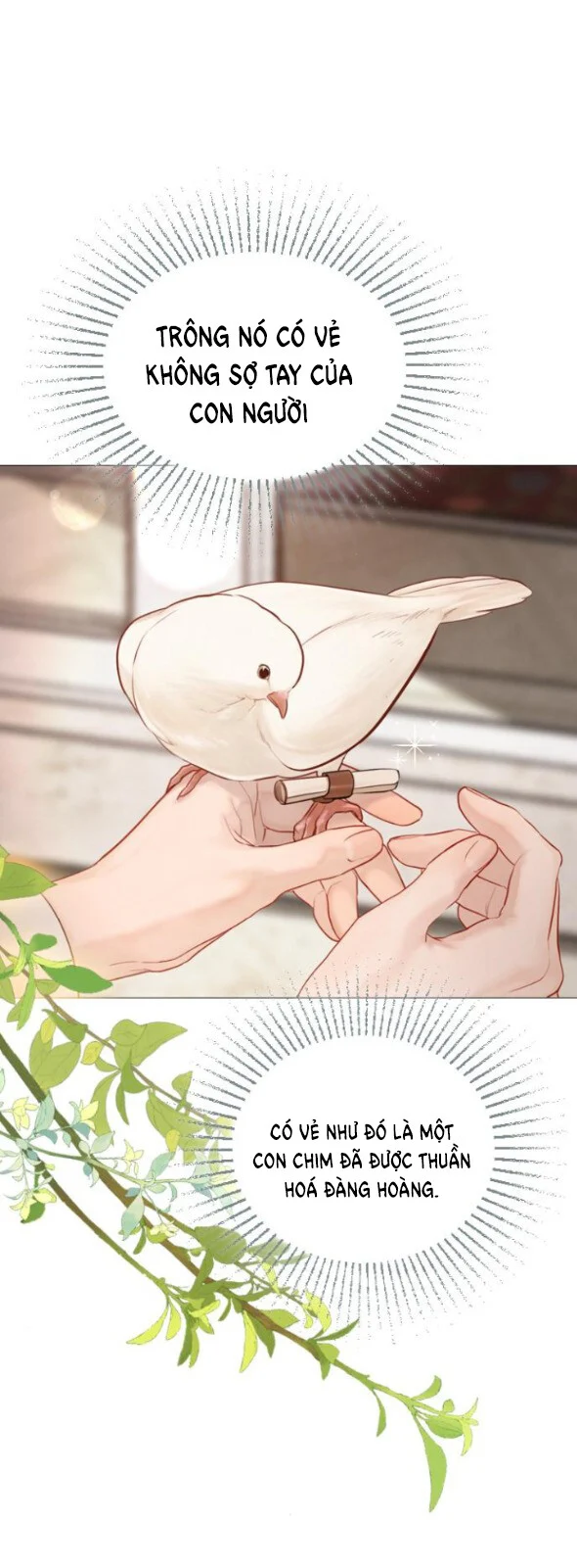 Khóc Đi Hay Là Cầu Xin Tôi Cũng Được Chapter 52 - Trang 2